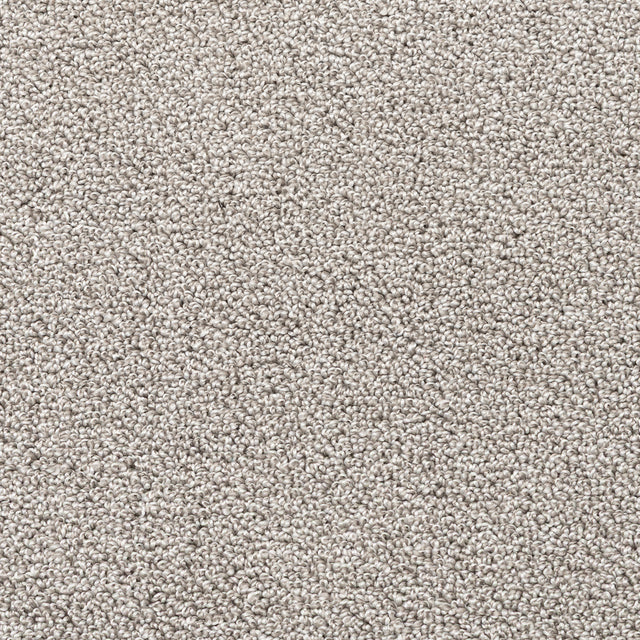 Nova Grey