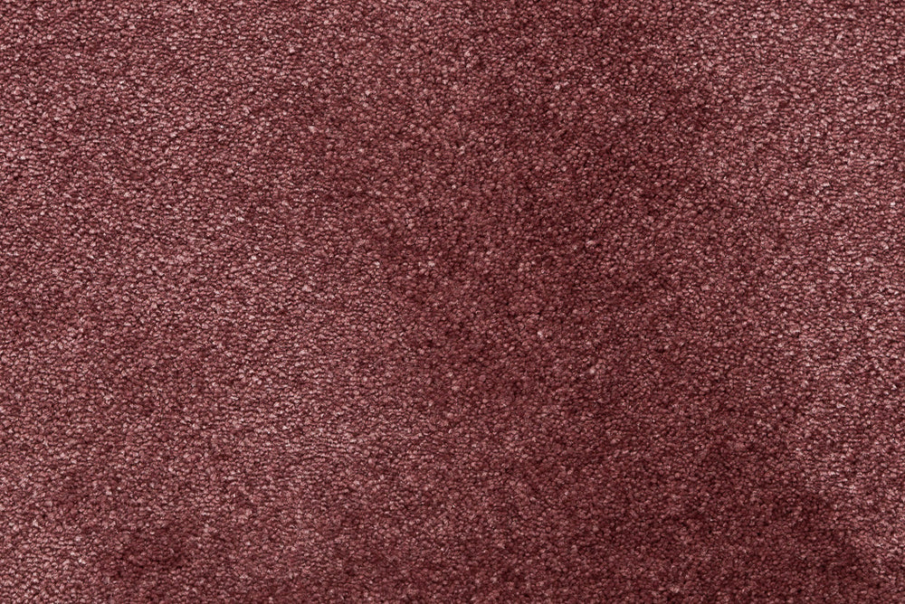Starlight Plomme
