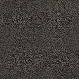 Nova Anthracite