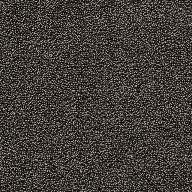 Nova Anthracite