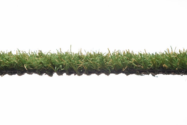 City Grass