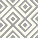 Labyrinth Gray/White