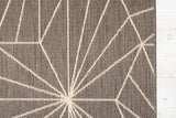 Spider Silver