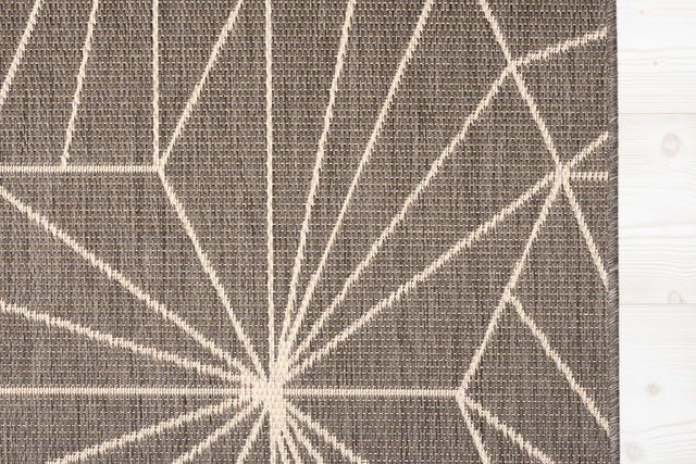 Spider Silver