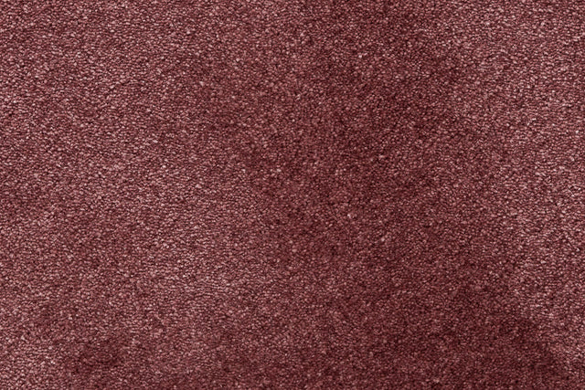 Starlight Plomme